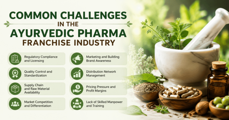 What Is Ayurvedic PCD Pharma Franchise?