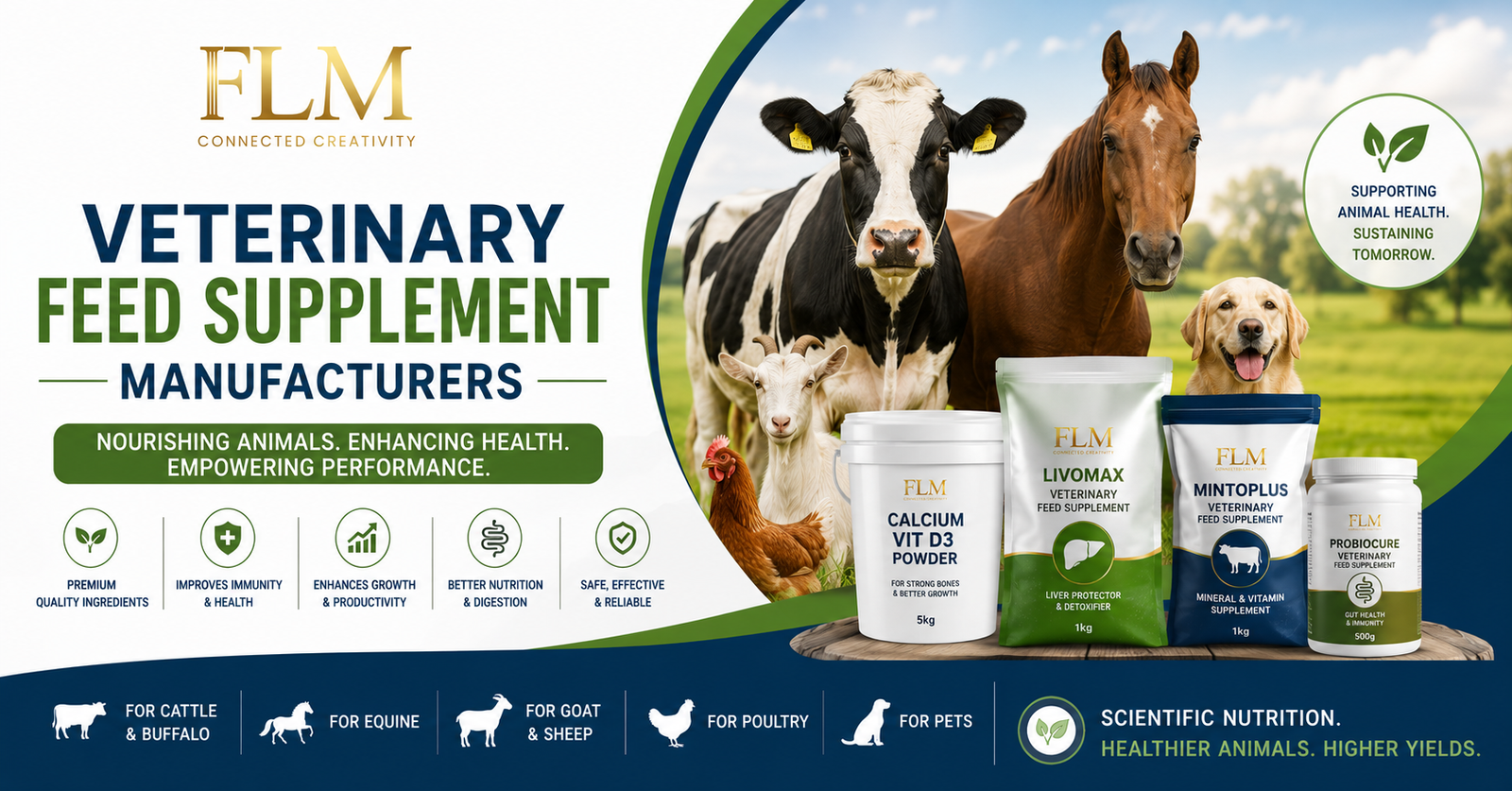 Veterinary Feed Supplement Manufacturers | High-Quality Animal Feed Supplements