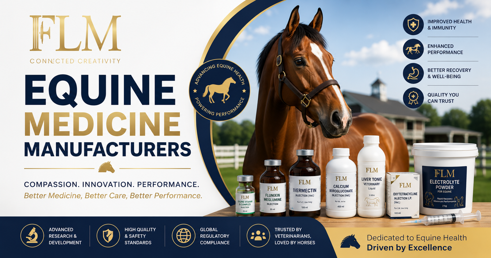 Top Equine Medicine Manufacturers In India | GMP Certified 