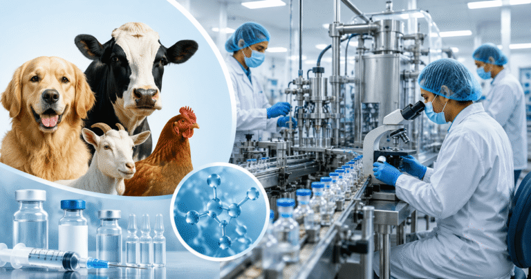 How To Choose A Veterinary Medicine Manufacturer In India ?