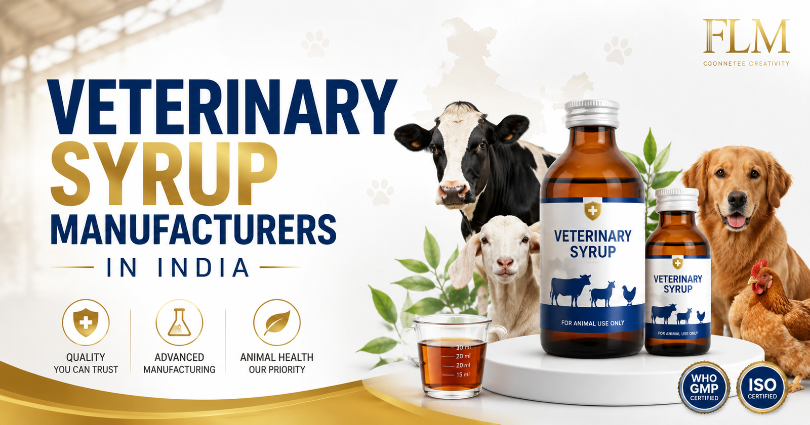 Top Veterinary Syrup Manufacturers In India – Affordable & Trusted