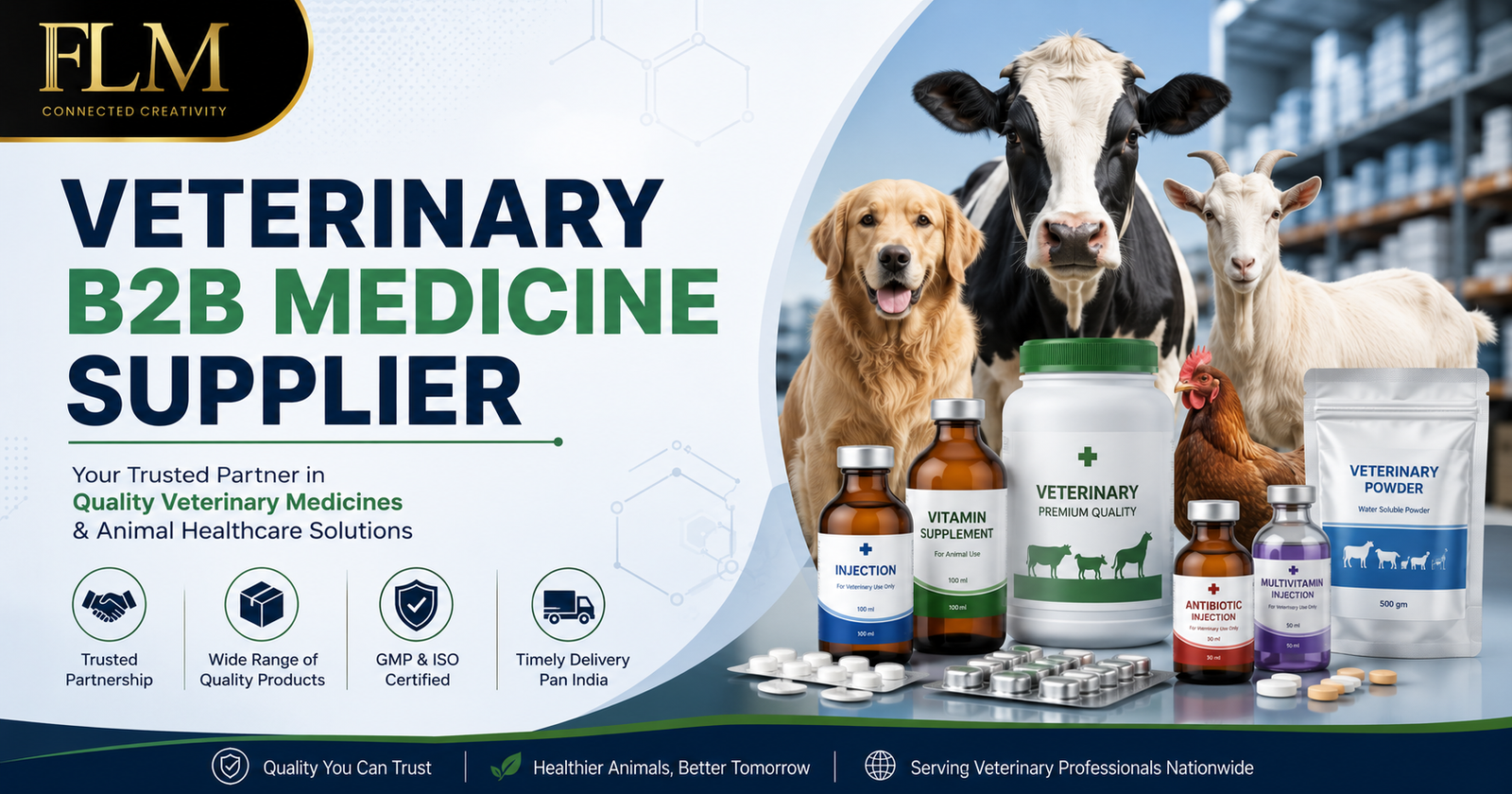 Veterinary B2B Medicine Supplier: Complete Guide to Bulk Supply & Wholesale (2026) 